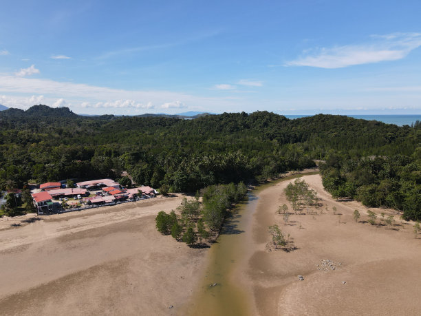 borneo