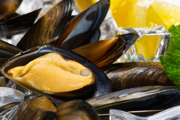 mussels