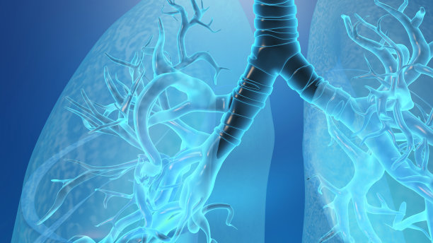 thymus