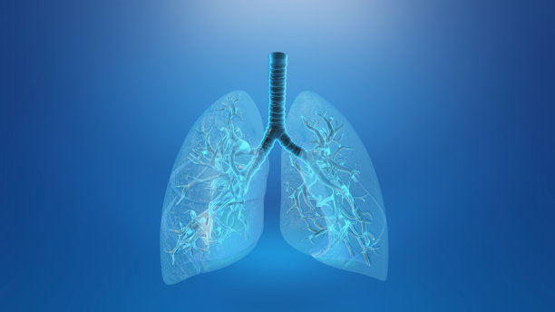thymus