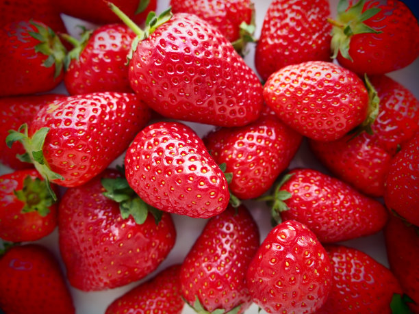 早餐店价目表图片