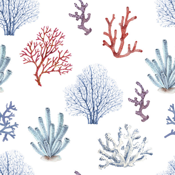 corals