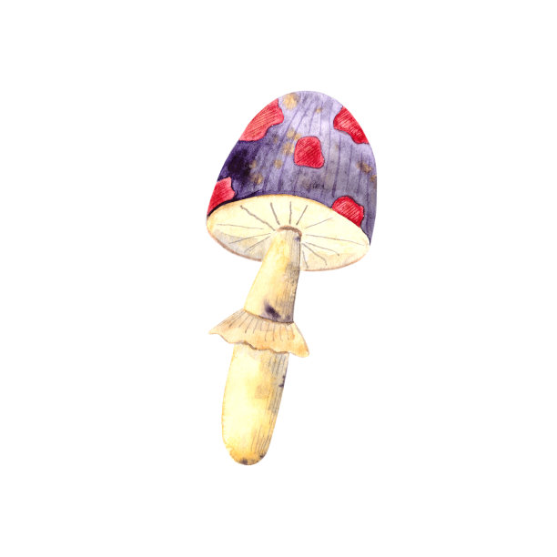toadstool