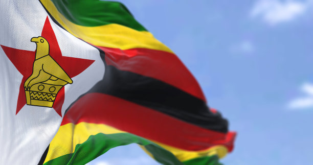 zimbabwean