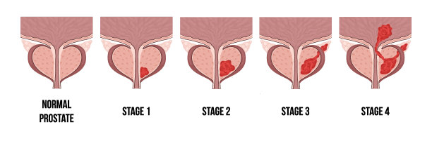 扁平矢量人物绘制