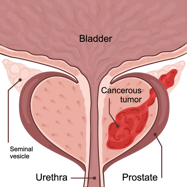 扁平矢量人物绘制