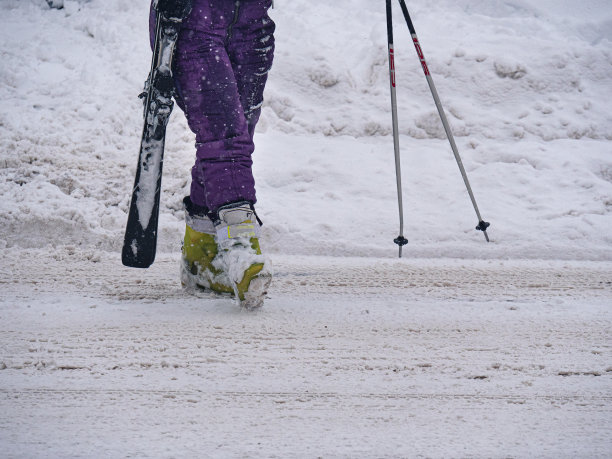 滑雪雪橇,滑雪坡,阿尔卑斯山脉