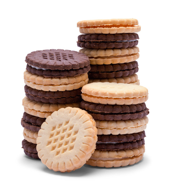 biscuit