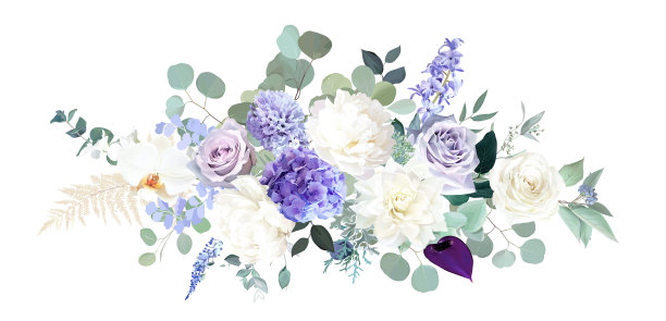 紫色花卉花朵熏衣草兰花紫色花