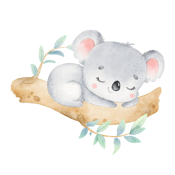 koala