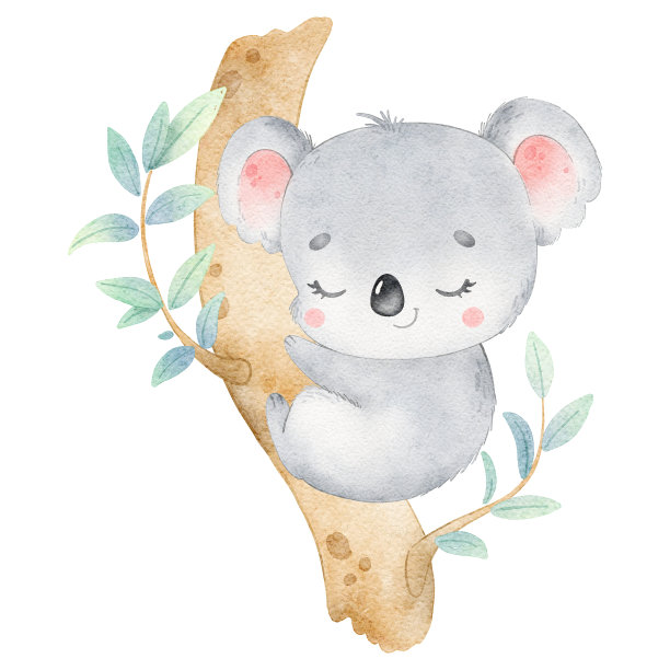 koala