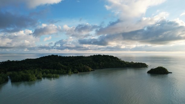 borneo