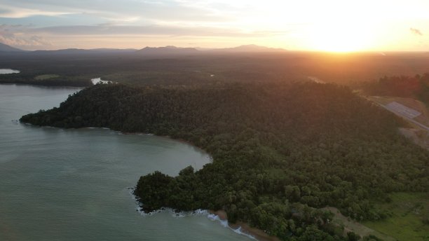 borneo