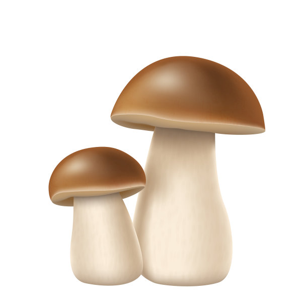 mushroom