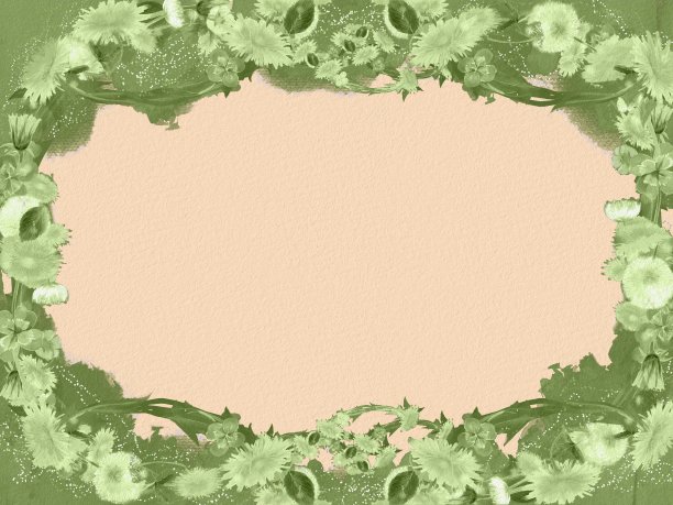 四叶草,三叶草,蒲公英种子