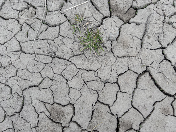 desolate
