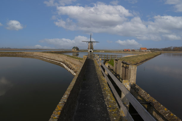 _texel