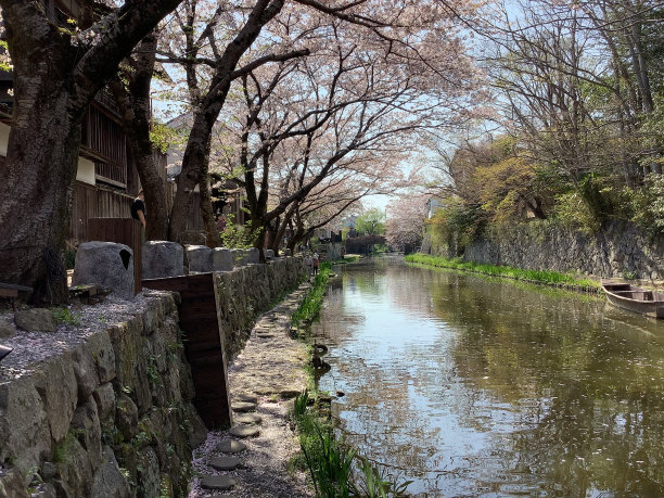 水上粉色房屋