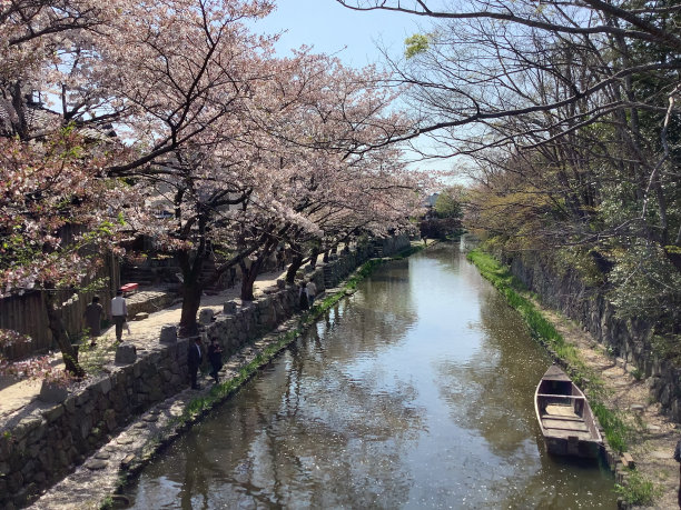 水上粉色房屋