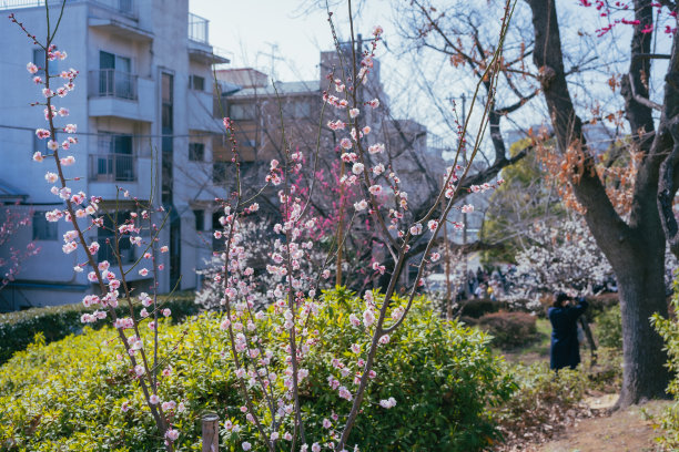 march