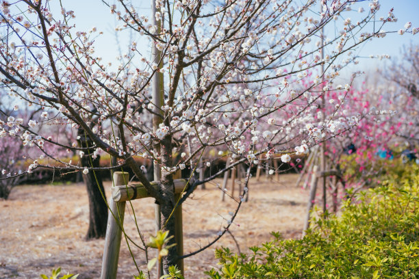 march