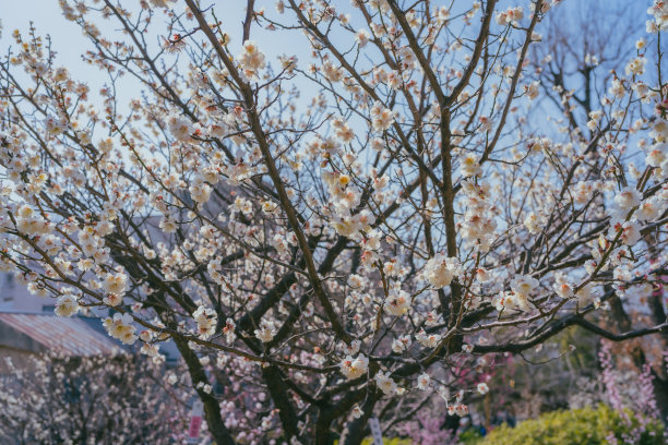 march