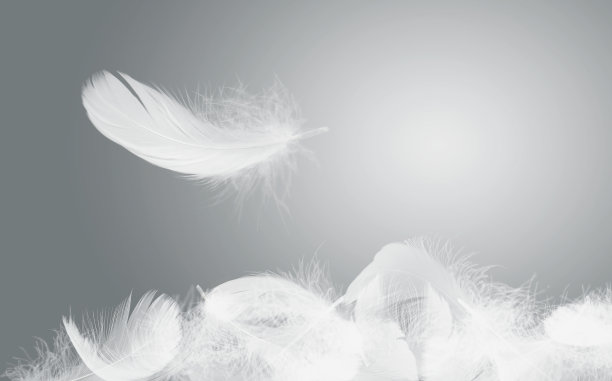 plumage