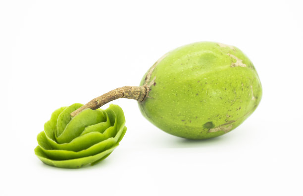 spondias