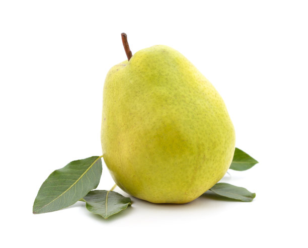 pyrus