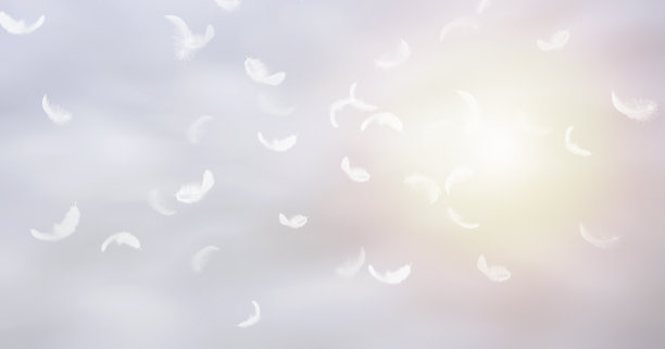 plumage