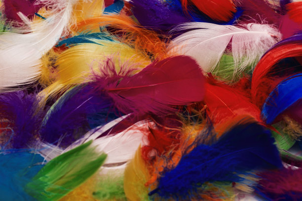 preen