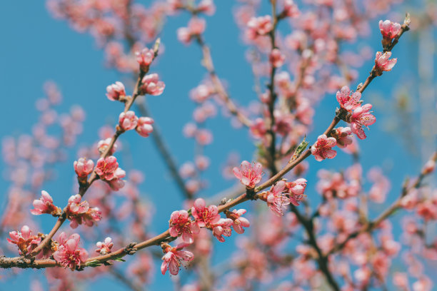 march