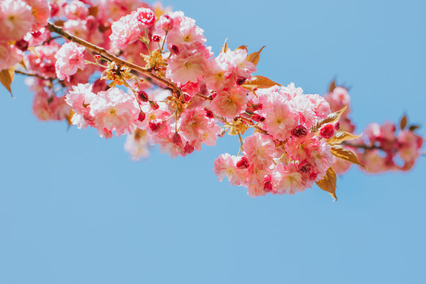 march