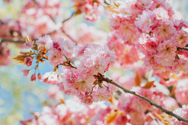 march