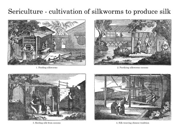 古代蚕桑丝绸生产加工