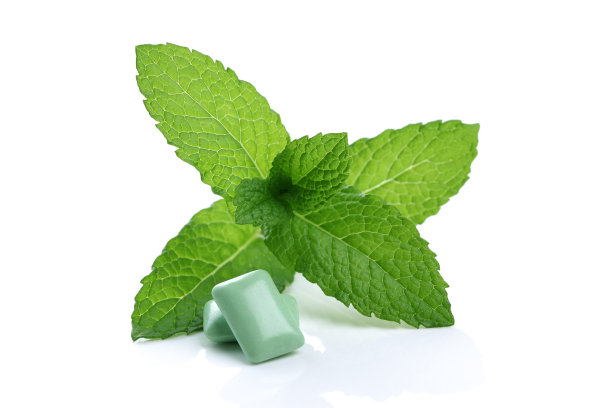 spearmint