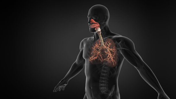 thymus