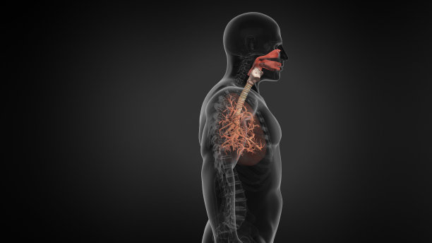 thymus