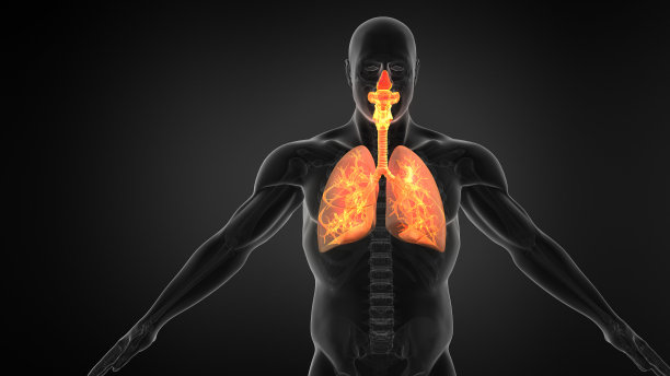 thymus