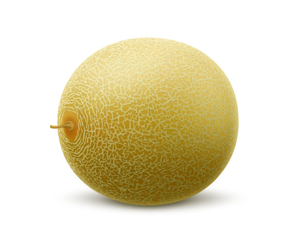 cantaloupe