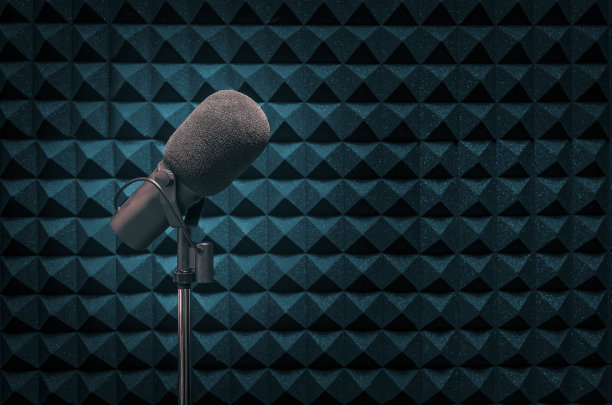 voice