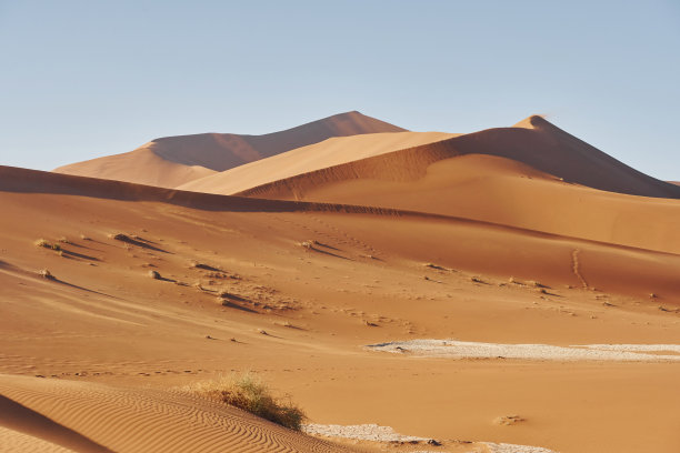 desert