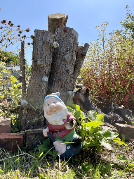 gnome