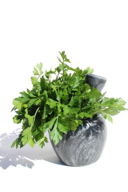 garnish