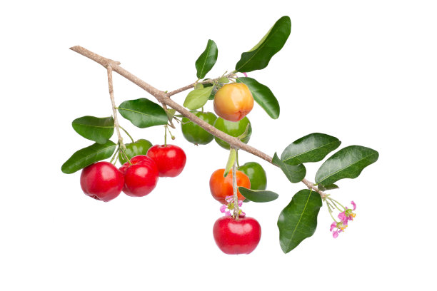 cherries