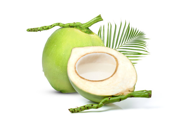 coconut