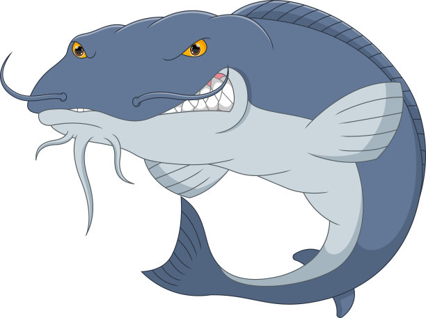 catfish