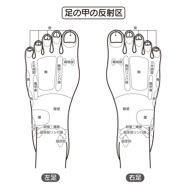 足疗穴位图