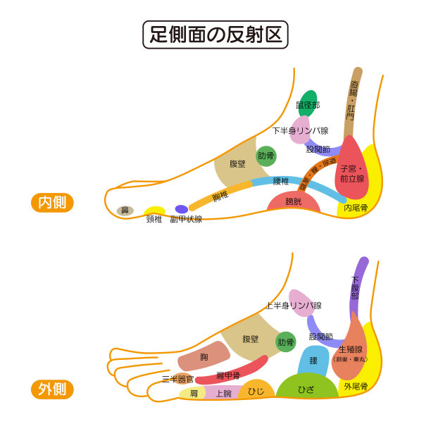 足疗穴位图