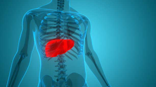 什么是病毒性肝炎